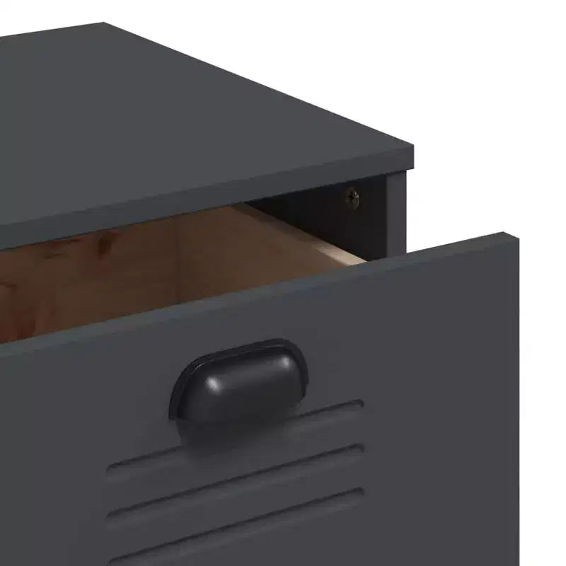 vidaXL Meuble de Rangement à Tiroirs Classeur de Dossiers Meuble de Salon en Bois de Pin Massif